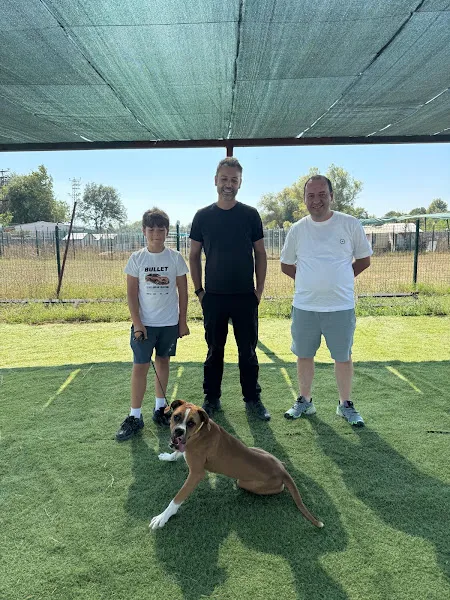 Dogmaster foto 2