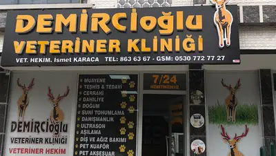 Elmadağ Demircioğlu Veteriner Kliniği