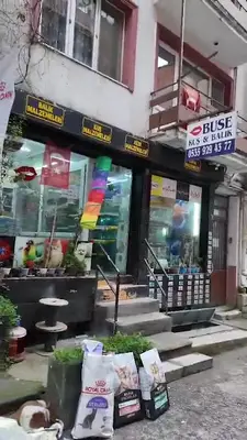 Buse Kuş ve Balık Petshop fotoğrafı