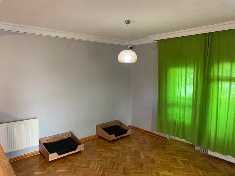 Kuti Pet Otel ve Köpek Eğitim Okulu foto 2