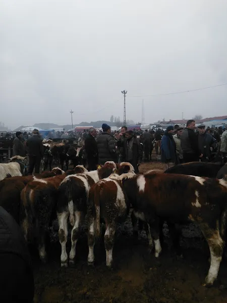 Çorum Canlı Hayvan Pazarı foto 1