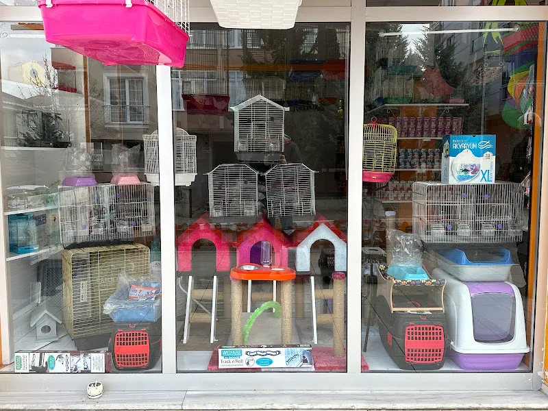 Tarçın Petshop akvaryum foto 2
