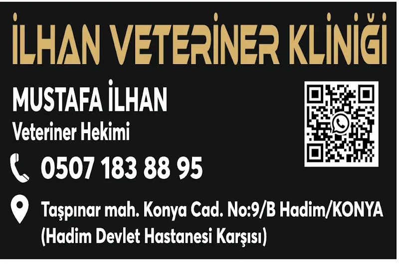 İlhan Veteriner Kliniği HADİM foto 2