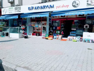 Tilsim Akvaryum & Petshop