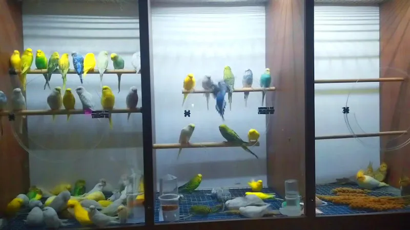 ÇINARCIK KÜÇÜK CANLAR PETSHOP & PET KUAFÖR foto 2