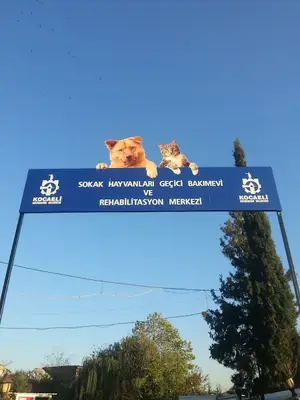 Gebze Sokak Hayvanlari Rehabilitasyon Merkezi