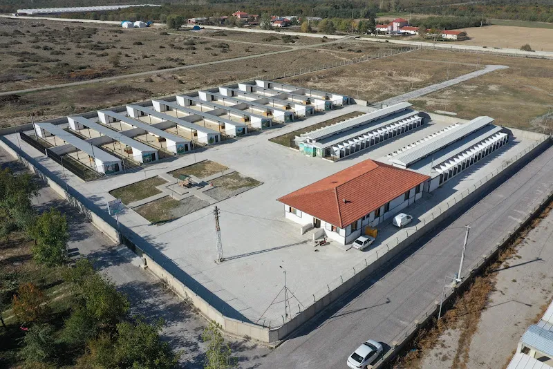 Akşehir Belediyesi Sahipsiz Hayvan Bakımevi ve Rehabilitasyon Merkezi foto 1