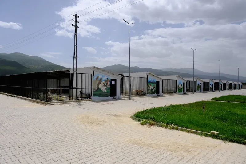 Akşehir Belediyesi Sahipsiz Hayvan Bakımevi ve Rehabilitasyon Merkezi foto 2