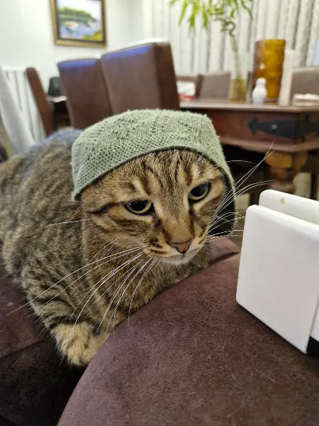 Teos Veteriner Kliniği foto 2