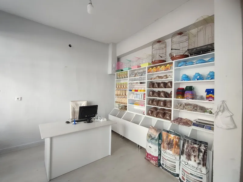 TALHA PETSHOP foto 2