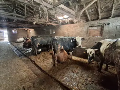 TEZCAN Tarım ve hayvancılık fotoğrafı
