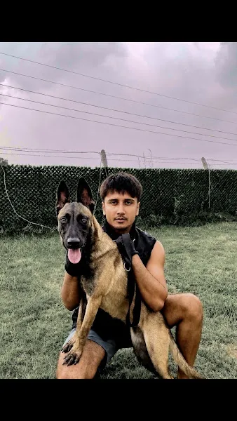 Adana Köpek Eğitim Akademisi Eren Akcan foto 2