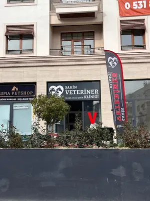 ŞAHİN VETERİNER KLİNİĞİ fotoğrafı