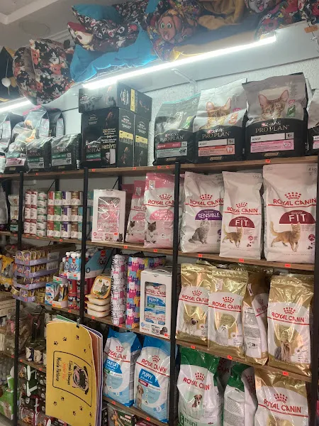 Yalı Pet Shop foto 2