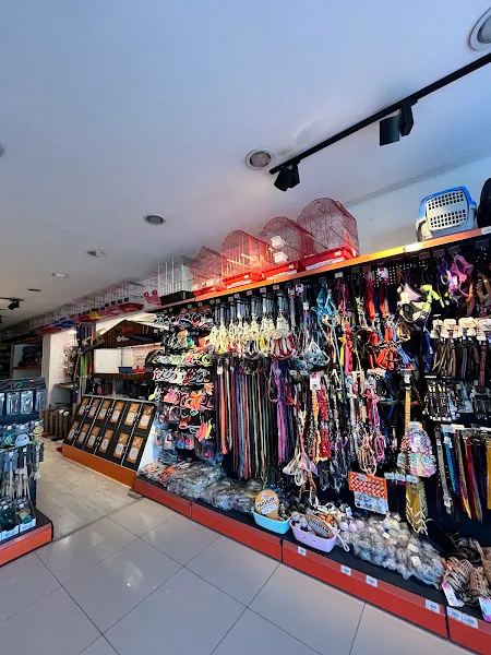 Pet Center | Tosya Yolu foto 2