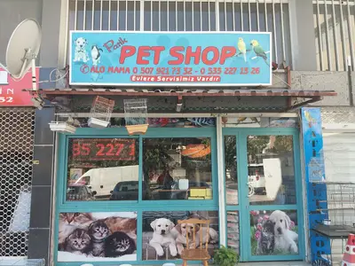 Patik petshop fotoğrafı