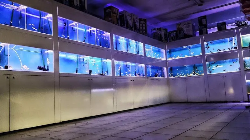 Hisar Pet Shop foto 1