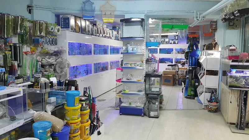 Hisar Pet Shop foto 2