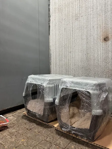Bağcılar PET Shop Dünyası Kuş Kedi Köpek Maması Oyuncak foto 2