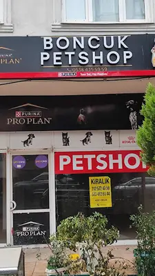 Boncuk Petshop Bakırköy