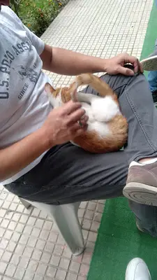 DS Pets Home fotoğrafı