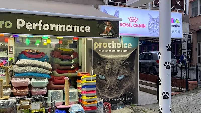 NOKTA PETSHOP&PET KUAFÖR VE CANLI EVİ foto 1