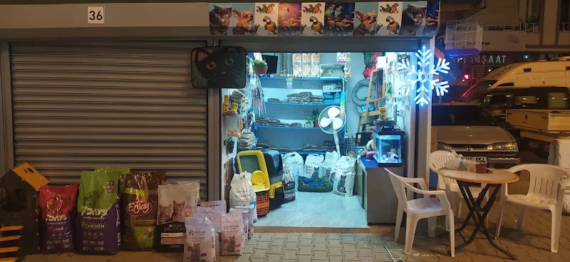Minnak PetShop Kedi Köpek Maması Aksesuar Yalova Armutlu foto 2