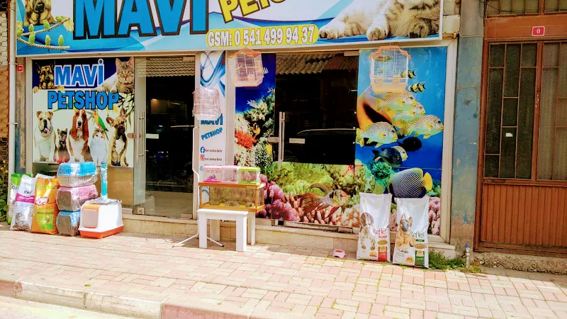 Mavi petshop bartın foto 1