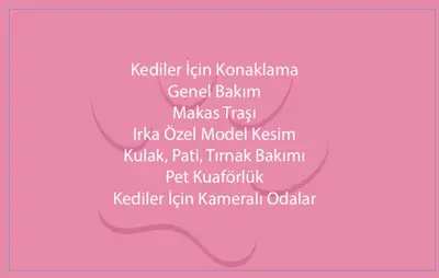 Düzce Kedi Oteli ve Pet Kuaförü