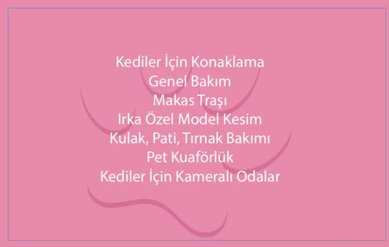 Düzce Kedi Oteli ve Pet Kuaförü foto 1
