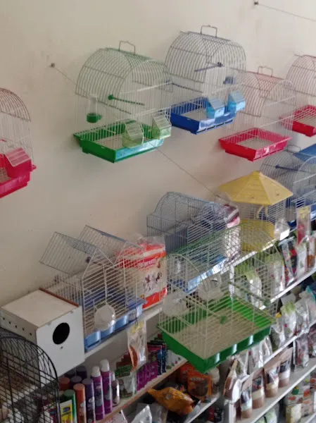 Bozdağ petshop foto 2