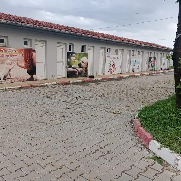 Salihli Hayvan Barınağı foto 2