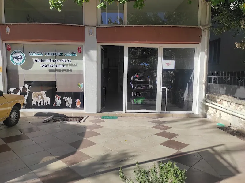 Yatağan Veteriner Kliniği foto 2