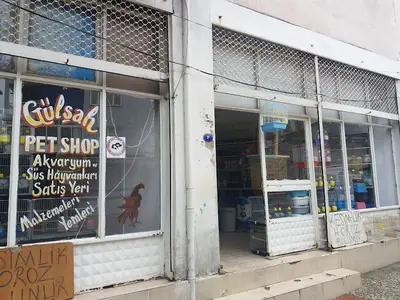 Gülşah Pet shop fotoğrafı