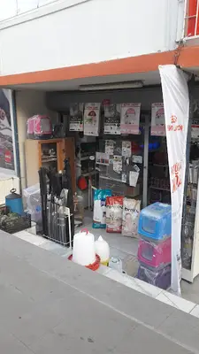 Bıdık Pet Shop