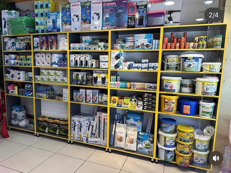 Beta petshop foto 2