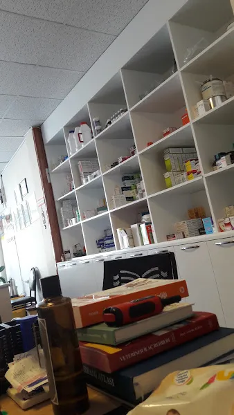 Eren Bakar Veteriner Kliniği foto 2