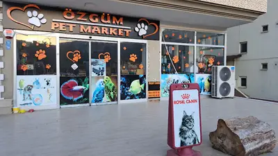 CatLawn