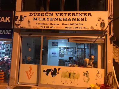 çam evcil hayvan