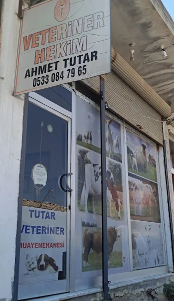 Üçtaş Veteriner Muayenehanesi foto 2
