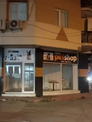 Yağız Petshop - Adatepe Petshop fotoğrafı