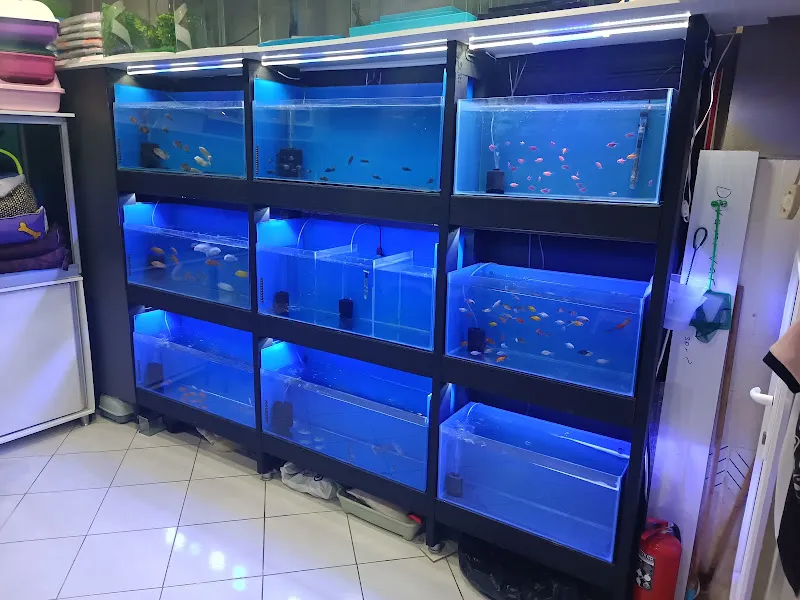 Mihav Petshop foto 2
