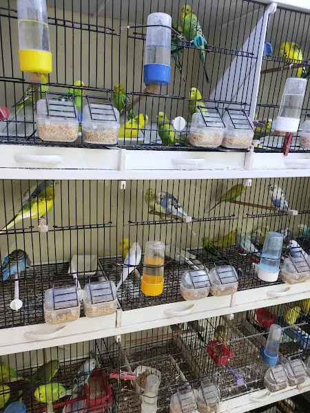 Hobi Petshop foto 2