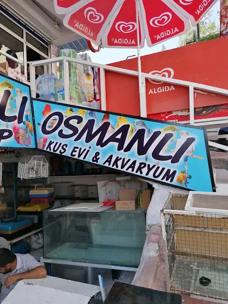Osmanlı petshop foto 2