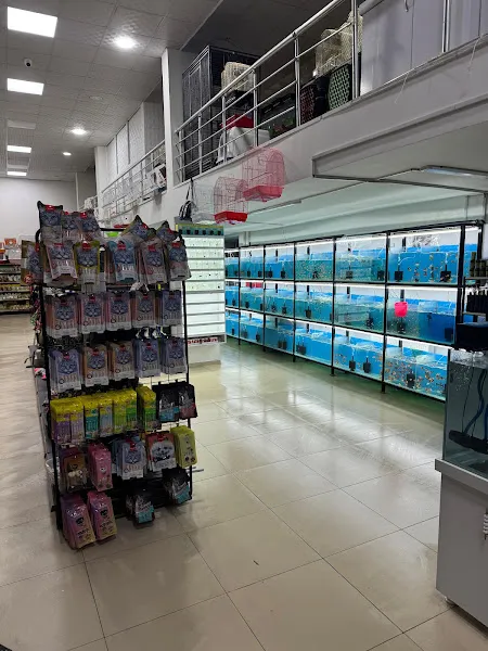Trend Pet Market - Petshop foto 2