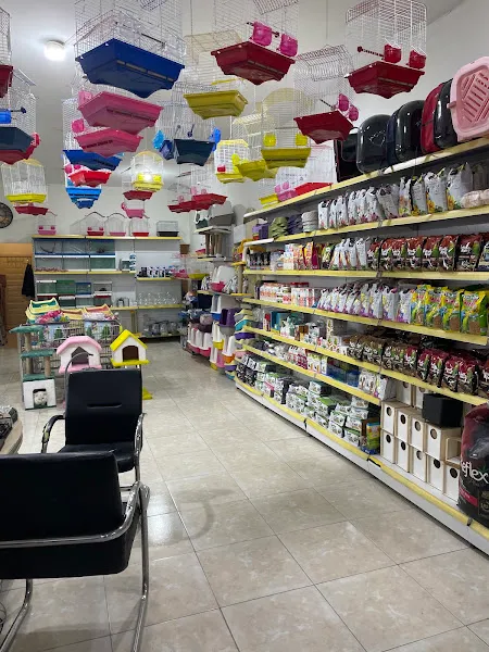 MASAL petshop foto 2