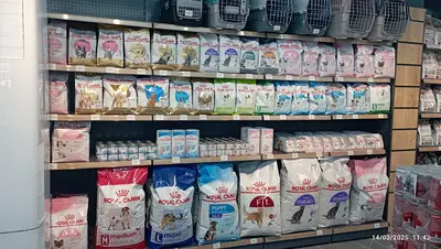 Petoppia Pet Market
