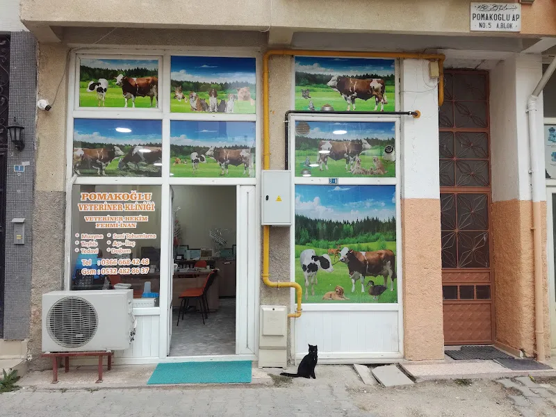 Seydiler Veteriner Kliniği foto 1