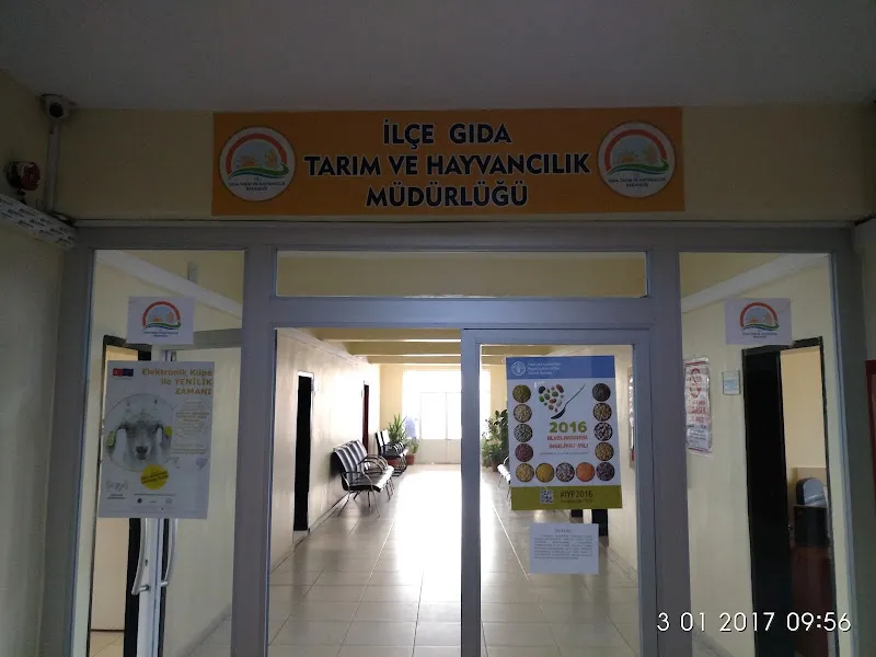 DARGEÇİT VETERİNER KLİNİĞİ foto 2