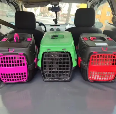 Konya Pet taksi fotoğrafı